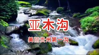 黄圣依杨子带货风波升级!超60位商家报警维权,警方已受理介入